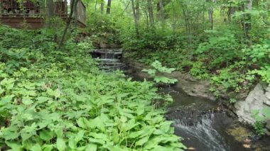 Peaceful waterfalls in the lush green woods. This set of clips is perfect for relaxation, yoga, spiritual, meditation to show peaceful nature