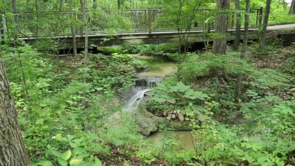 Peaceful Waterfalls Lush Green Woods Set Clips Perfect Relaxation Yoga — Video Stock