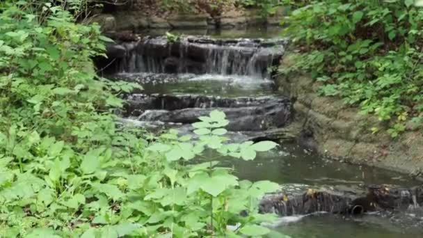 Peaceful Waterfalls Lush Green Woods Set Clips Perfect Relaxation Yoga — Stock video