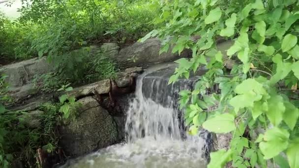 Peaceful Waterfalls Lush Green Woods Set Clips Perfect Relaxation Yoga — Wideo stockowe