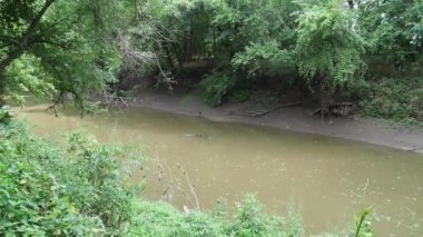 Yumuşak, pürüzsüz su görüntülerine dalın. Paola Kansas 'taki Big Bull Creek. Bu su yemyeşil Rock Stadyumu boyunca akar..