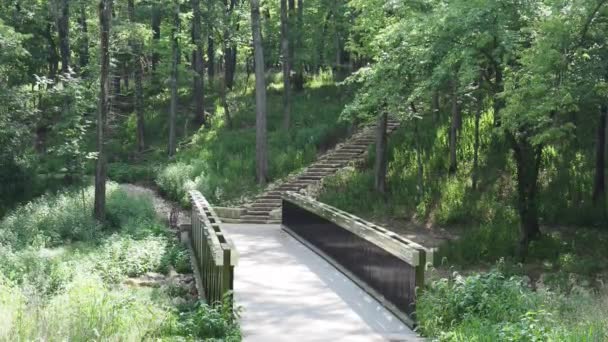 Πράσινη Μεταλλική Και Τσιμεντένια Γέφυρα Και Μεγάλη Ψαμμίτη Σκάλα Ένα — Αρχείο Βίντεο