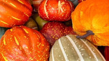 Colorful pumpkins for your Fall design graphics. Add a text overlay for a quick simple social media post template.