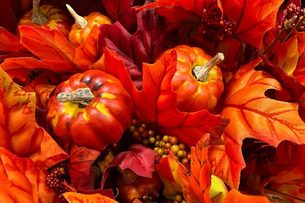 Vibrant Oranage Red Leaves Miniature Pumpkins Perfect Background Add Your — Stock Photo, Image