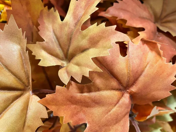 Vibrant Fall Leaves Perfect Adding Your Personal Touch Social Media — Fotografia de Stock