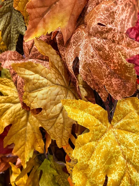 Vibrant Fall Leaves Perfect Adding Your Personal Touch Social Media — Stock Fotó