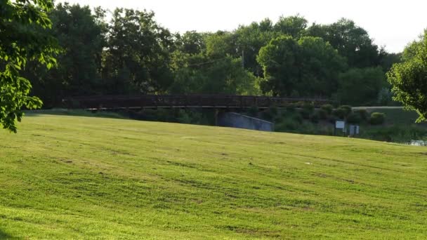 Olathe Kansas August 2022 Vibrant Colors Wide Angle Shot Walking — Stockvideo