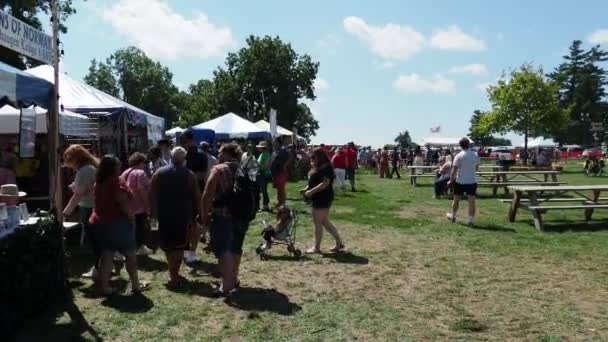 Kansas City Missouri August 2022 Ethnic Enrichment Festival Swope Park — Stock Video