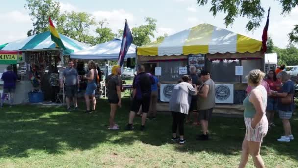 Kansas City Missouri August 2022 Ethnic Enrichment Festival Swope Park — Stock videók