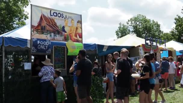 Kansas City Missouri August 2022 Ethnic Enrichment Festival Swope Park — Stockvideo