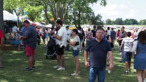 Kansas City Missouri August 2022 Ethnic Enrichment Festival Swope Park — Stok video