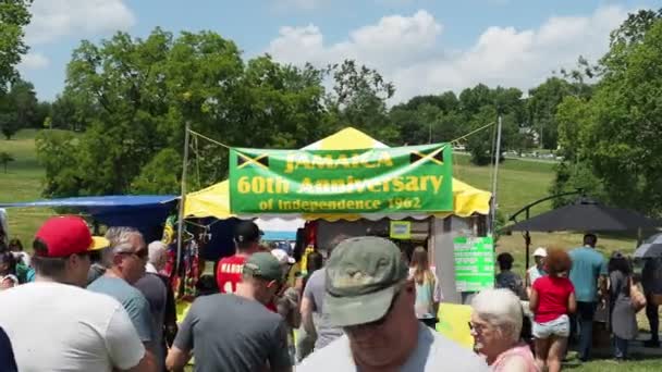 Kansas City Missouri August 2022 Ethnic Enrichment Festival Swope Park — Stok video