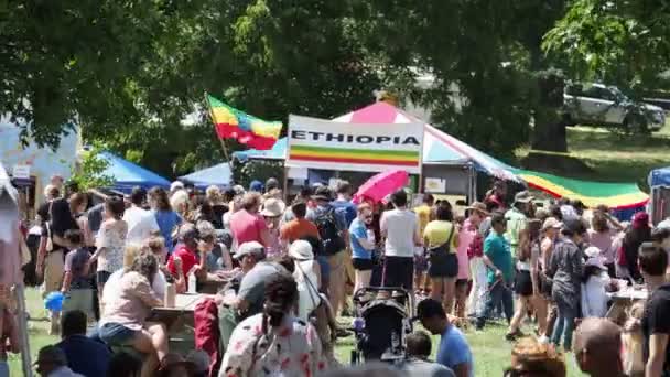 Канзас Сити Миссури Августа 2022 Года Фестиваль Этнического Обогащения Swope — стоковое видео