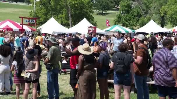 Kansas City Missouri August 2022 Ethnic Enrichment Festival Swope Park — Vídeo de stock