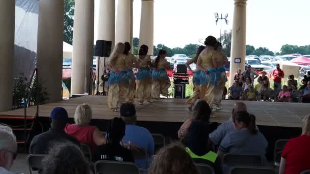 Kansas City Missouri August 2022 Ethnic Enrichment Festival Swope Park — Stock video