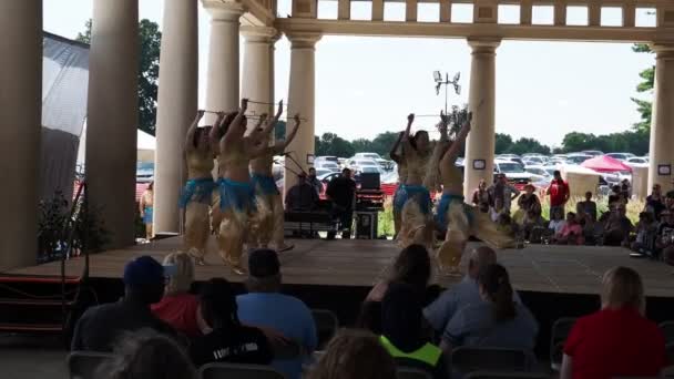 Kansas City Missouri August 2022 Ethnic Enrichment Festival Swope Park — Wideo stockowe