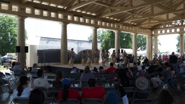 Kansas City Missouri August 2022 Ethnic Enrichment Festival Swope Park — ストック動画