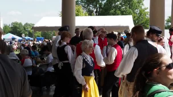 Kansas City Missouri August 2022 Ethnic Enrichment Festival Swope Park — Stockvideo