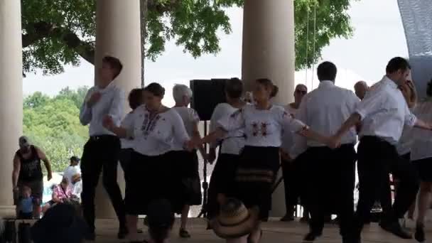 Kansas City Missouri August 2022 Ethnic Enrichment Festival Swope Park — Vídeos de Stock