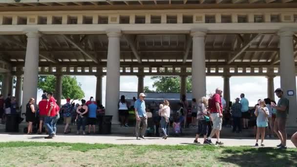 Kansas City Missouri August 2022 Ethnic Enrichment Festival Swope Park — Wideo stockowe