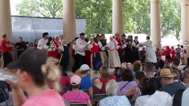 Kansas City Missouri August 2022 Ethnic Enrichment Festival Swope Park — ストック動画