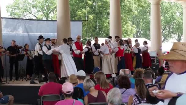 Kansas City Missouri August 2022 Ethnic Enrichment Festival Swope Park — Video
