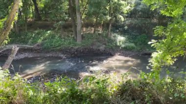 Bull Creek moving along through Rock Stadium Trail in Paola Kansas
