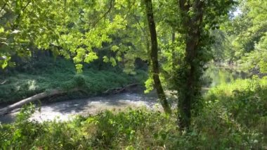 Bull Creek moving along through Rock Stadium Trail in Paola Kansas