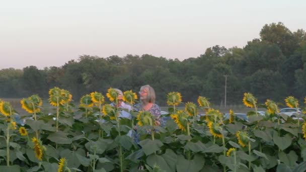 Lawrence Kansas September 2022 Beautiful Sunflowers Grinter Farms Attract Photographers — стоковое видео