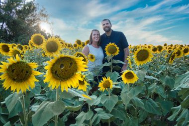 Mavi gömlekli bir adam, güzel bir Lawrence Kansas ayçiçeği tarlasının ortasında dururken beyaz gömlekli bir kadınla poz veriyor.