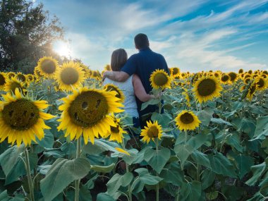 Mavi gömlekli bir adam, güzel bir Lawrence Kansas ayçiçeği tarlasının ortasında dururken beyaz gömlekli bir kadınla poz veriyor.