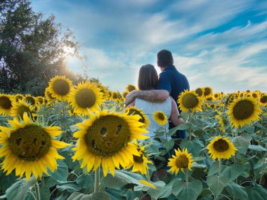 Mavi gömlekli bir adam, güzel bir Lawrence Kansas ayçiçeği tarlasının ortasında dururken beyaz gömlekli bir kadınla poz veriyor.