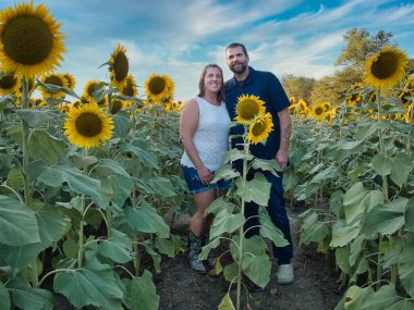 Mavi gömlekli bir adam, güzel bir Lawrence Kansas ayçiçeği tarlasının ortasında dururken beyaz gömlekli bir kadınla poz veriyor.