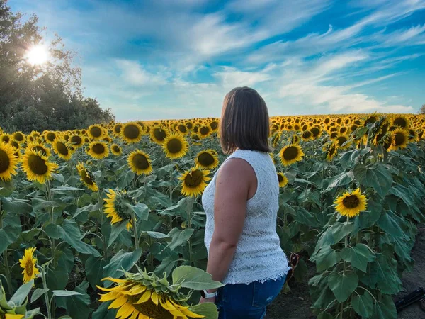 Açık kahverengi saçlı ve beyaz gömlekli kadın Lawrence Kansas 'ın dışındaki sarı, yeşil ve kahverengi ayçiçeği tarlasının ortasında duruyor.