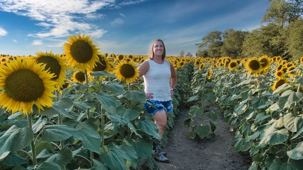 Açık kahverengi saçlı ve beyaz gömlekli kadın Lawrence Kansas 'ın dışındaki sarı, yeşil ve kahverengi ayçiçeği tarlasının ortasında duruyor.