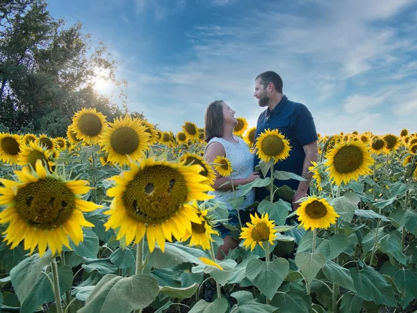 Mavi gömlekli bir adam, güzel bir Lawrence Kansas ayçiçeği tarlasının ortasında dururken beyaz gömlekli bir kadının gözlerinin içine bakıyor.