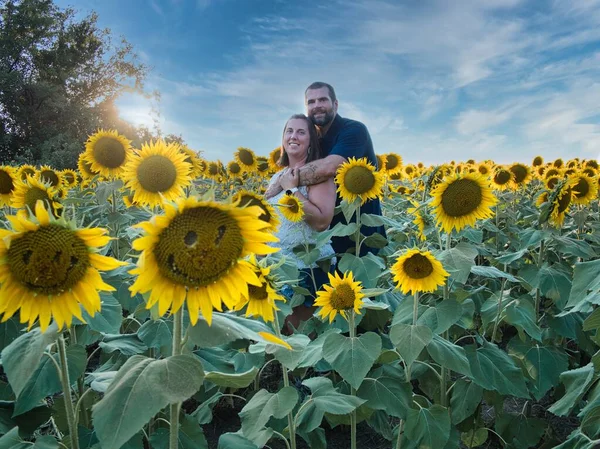 Mavi gömlekli bir adam, güzel bir Lawrence Kansas ayçiçeği tarlasının ortasında dururken beyaz gömlekli bir kadına sarılıyor.