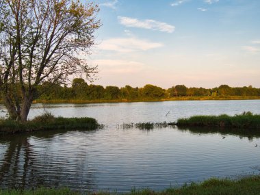 Spring Hill Kansas 'taki Gaziler Parkı' nda Manzaralı Gölet