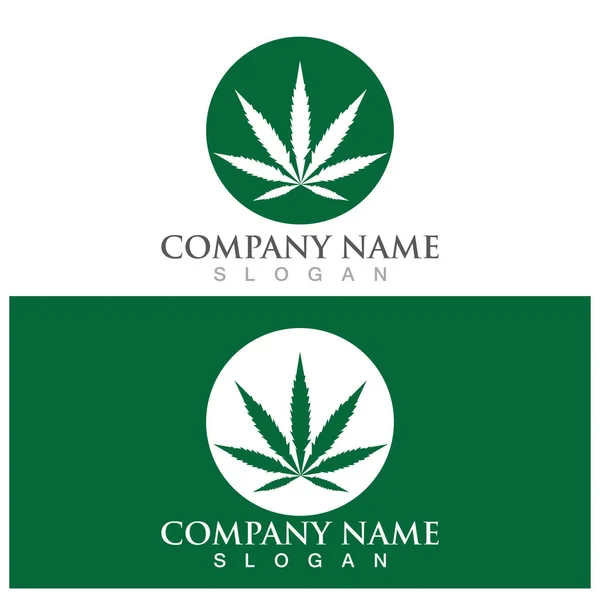 Cannabis Blatt Symbol Und Symbol Vektor — Stockvektor