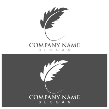 feather icon vector ilustration logo