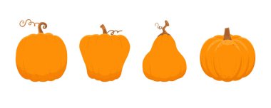 Balkabağı koleksiyonu, Cadılar Bayramı için tasarım öğesi. Vektör çizimi arkaplandan izole edildi. Çizgi film, çeşitli turuncu balkabakları.