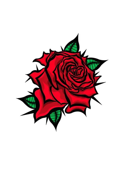 Rose Format 297 420Mm Work Done Program Procreate — Stock Photo, Image