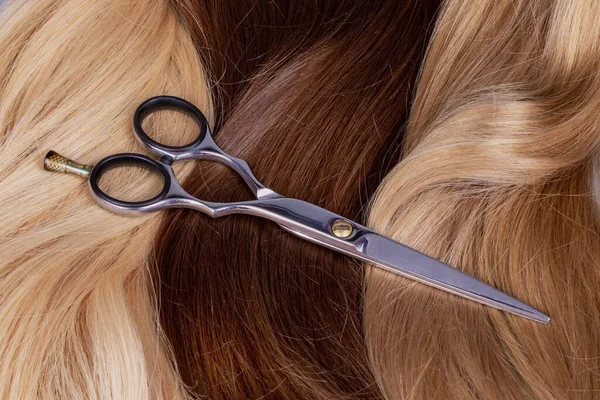 Professional hairdressing scissors lie on the hair of different colors. Natural hair brown and blond. The concept of hair care, the provision of hairdressing services, hair donation