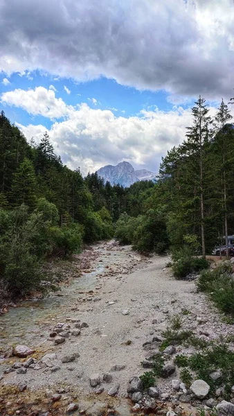 Shallow Mountain River Summer — Stok fotoğraf