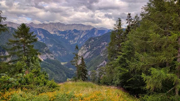 Exit Forest Mountain Gorge — Stock Photo, Image