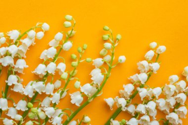  Sarı masadaki vadi zambağı ile arka plan