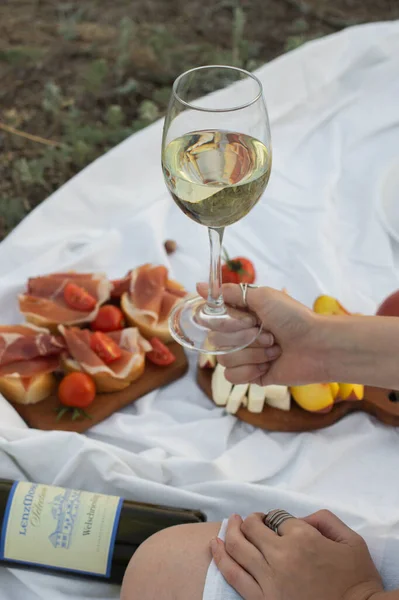 Picnic Glasses Wine Prosciutto Cheese Tomatoes Fruits — Φωτογραφία Αρχείου