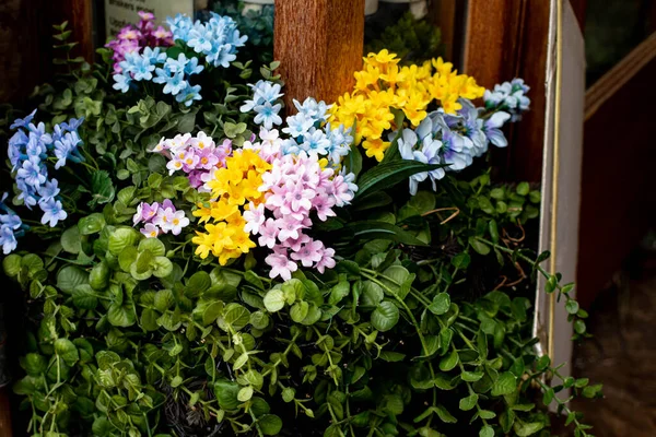 Flowers Street Pots — Photo