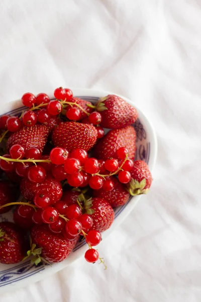 Red Berries Strawberries Red Currant — Stock Photo, Image