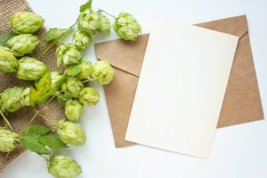 Zıplama dalı, çiçek, el işi zarf, çiçek, düzlük, üst görünüm içeren minimalist kart modeli